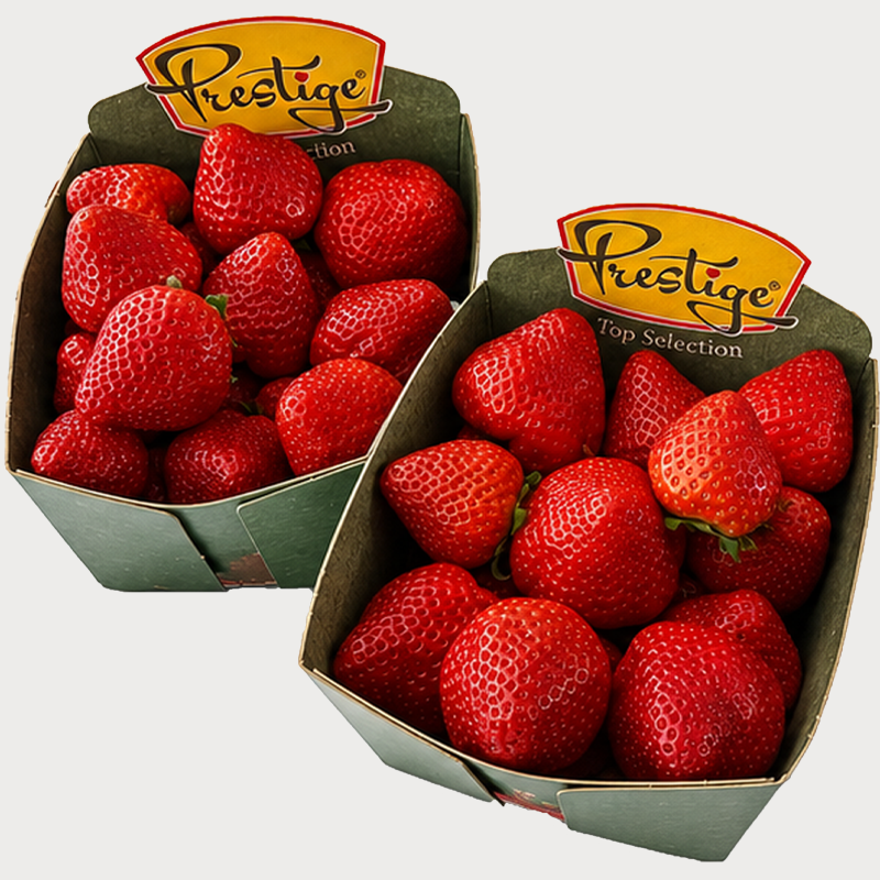 Prestige aardbeien